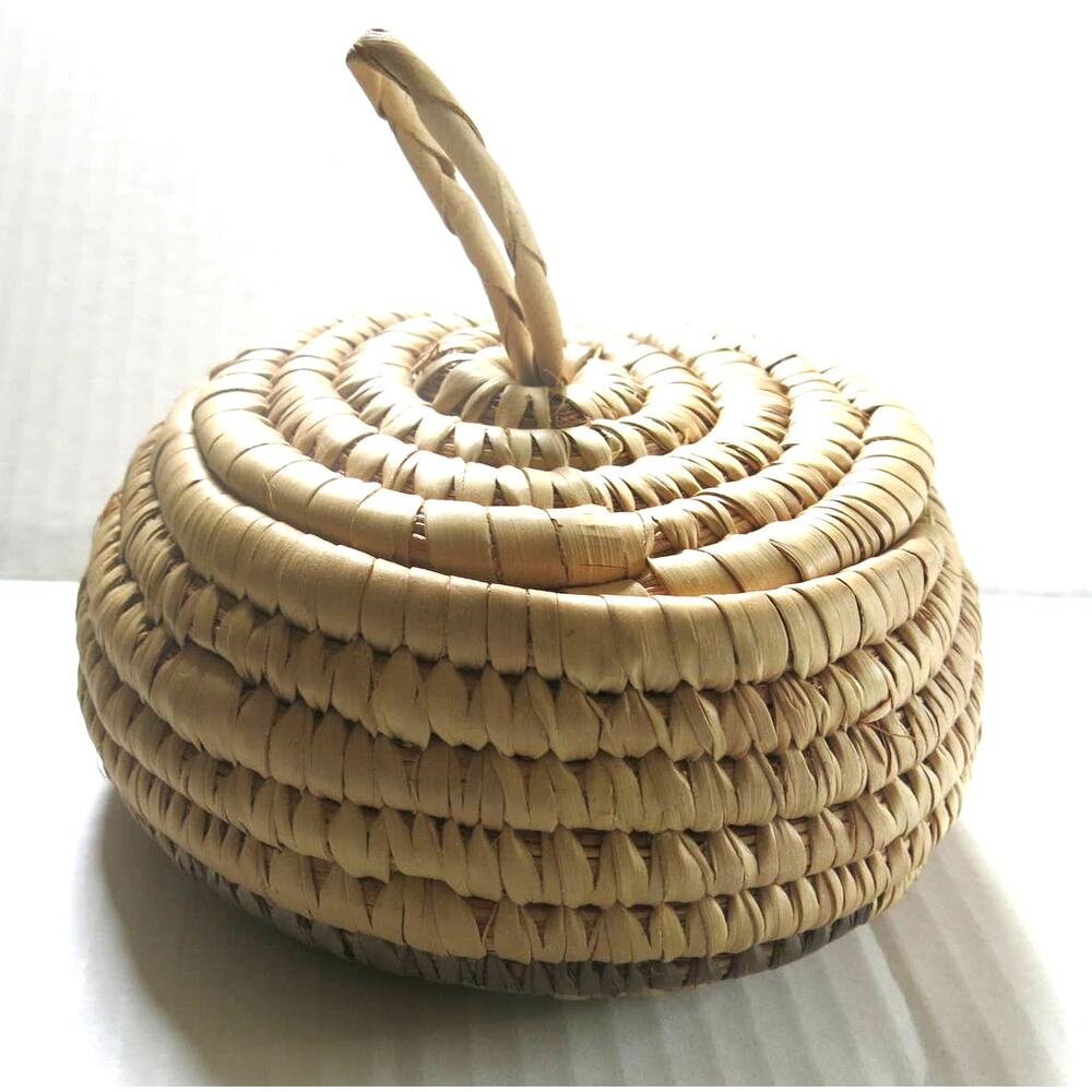 AFRICAN Hand Woven Hanging Basket Grass Tribal Ethnic Lid and Loop Nigeria Tans
